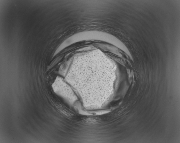 X0000082930566200702222222