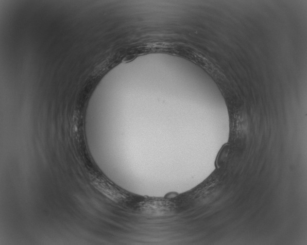 X0000082930567200702222222