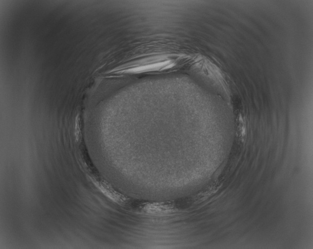 X0000082930568200702222222