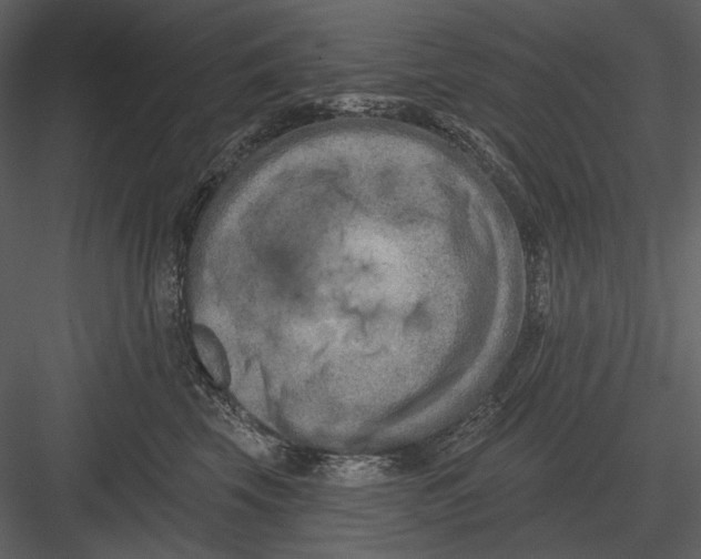 X0000082930569200702222223