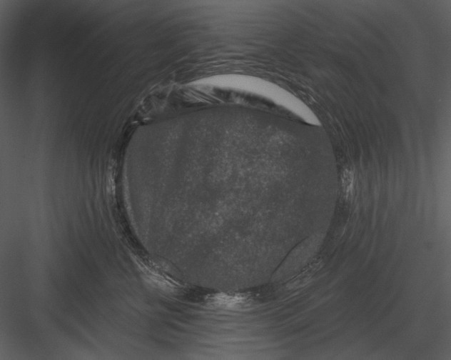 X0000082930570200702222223