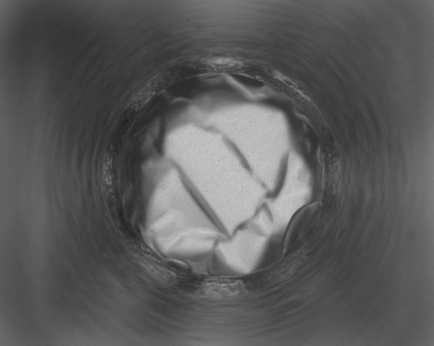 X0000082930571200702222223