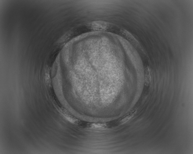 X0000082930573200702222223