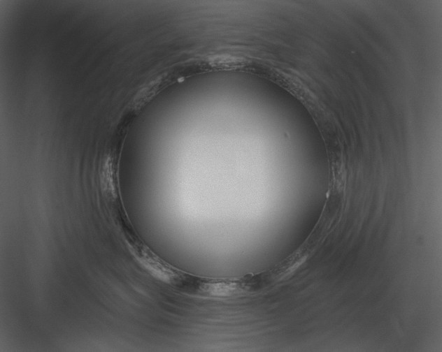 X0000082930575200702222223