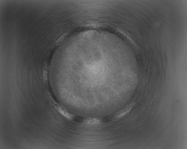 X0000082930576200702222223