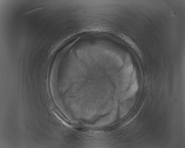 X0000082930577200702222222