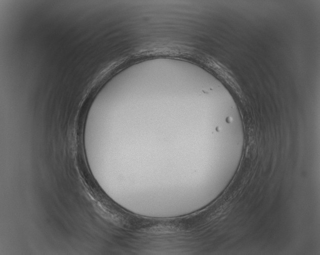 X0000082930578200702222222