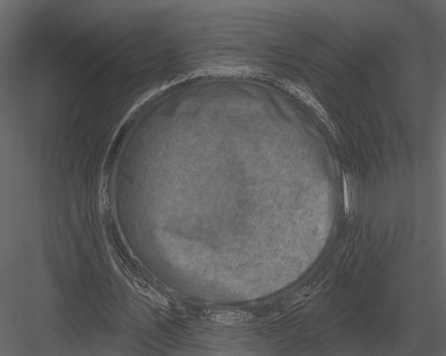 X0000082930579200702222222