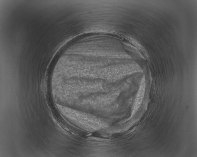 X0000082930580200702222222