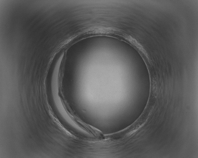 X0000082930581200702222222