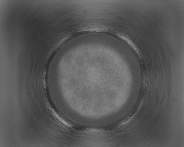 X0000082930585200702222222