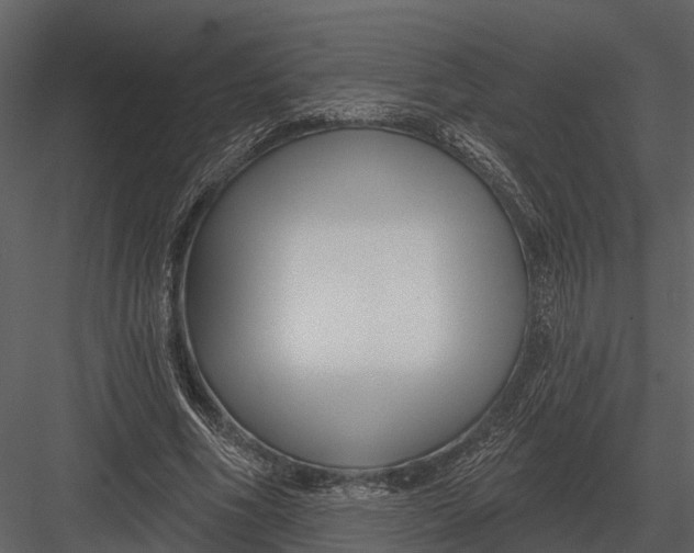 X0000082930586200702222222