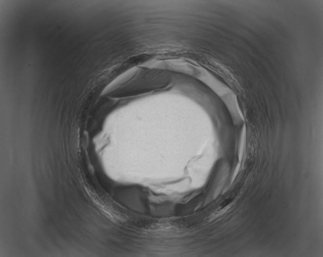 X0000082930589200702222222