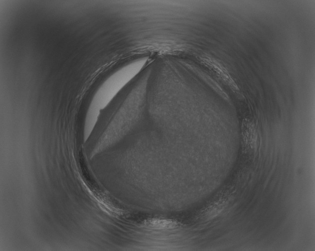 X0000082930590200702222222