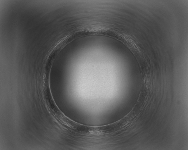 X0000082930591200702222222