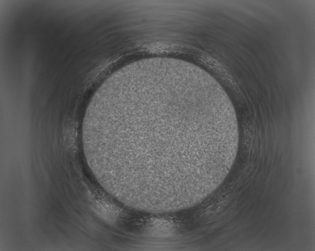 X0000082930592200702222222