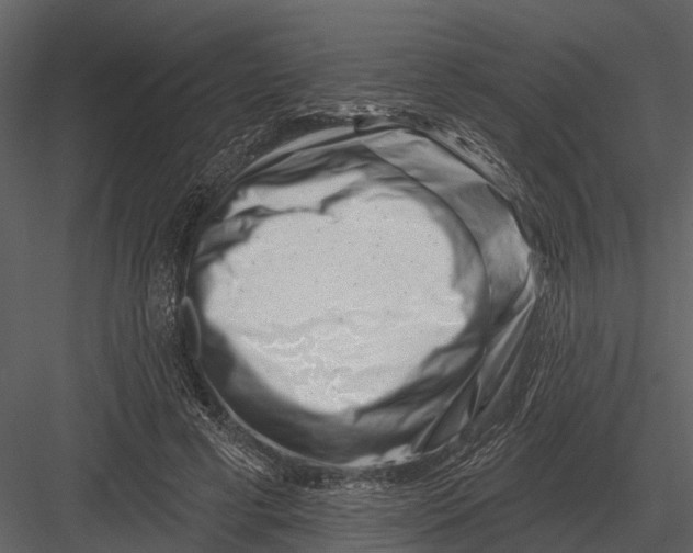 X0000082930593200702222222