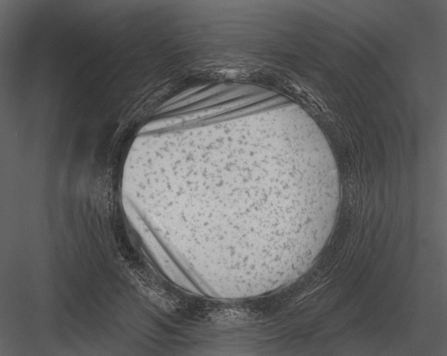 X0000082930594200702222222