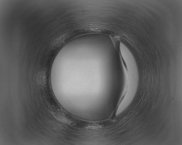 X0000082930595200702222221