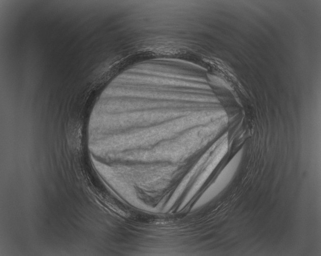 X0000082930596200702222221