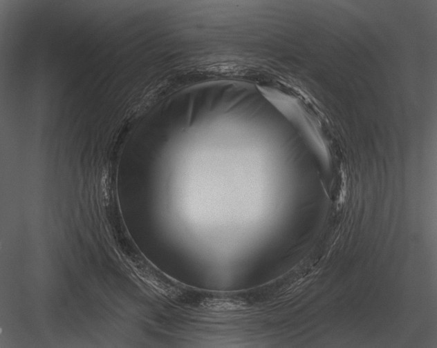 X0000082930597200702222221