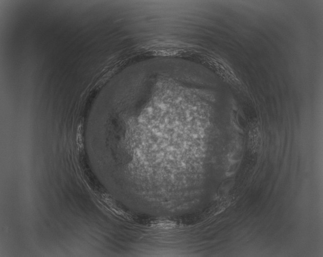 X0000082930598200702222221