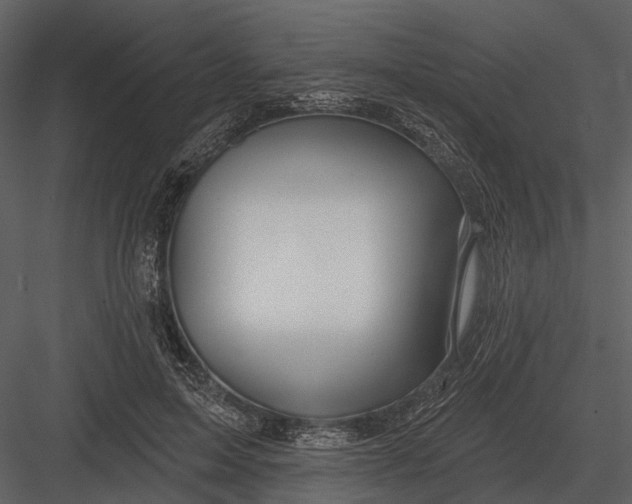 X0000082930599200702222221