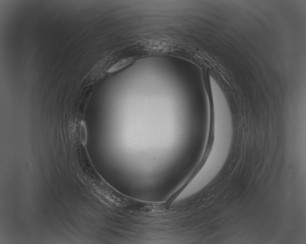 X0000082930601200702222221