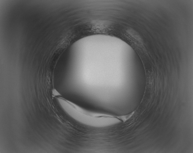 X0000082930603200702222221