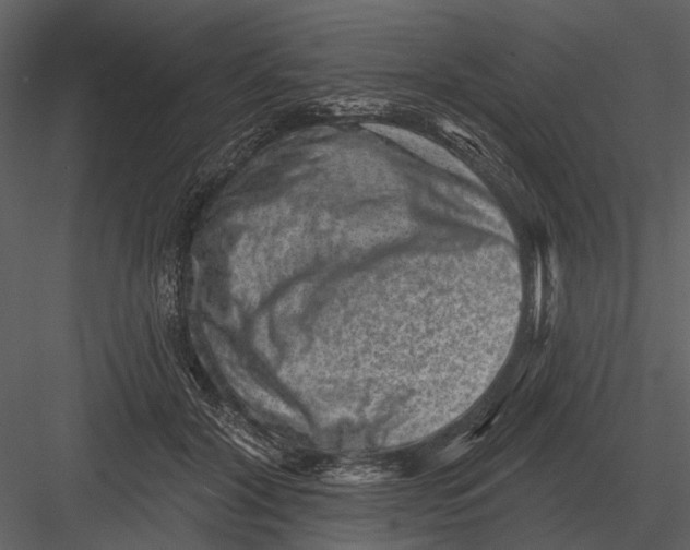 X0000082930604200702222221