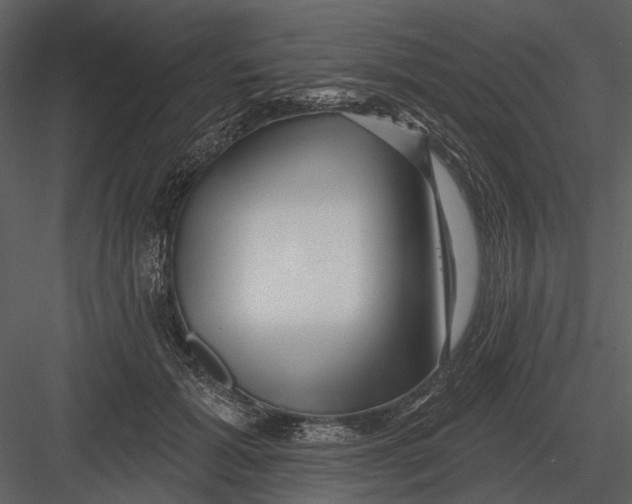 X0000082930605200702222221