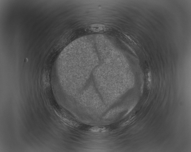 X0000082930606200702222221