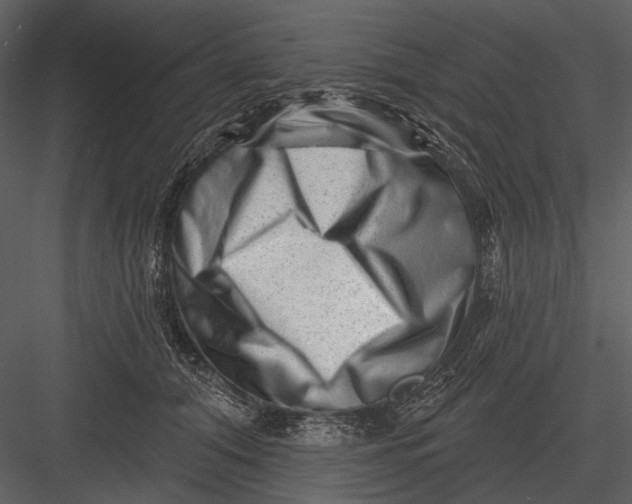 X0000082930608200702222221