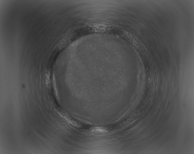 X0000082930610200702222221