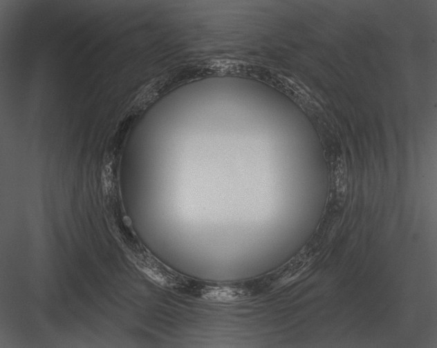 X0000082930611200702222221