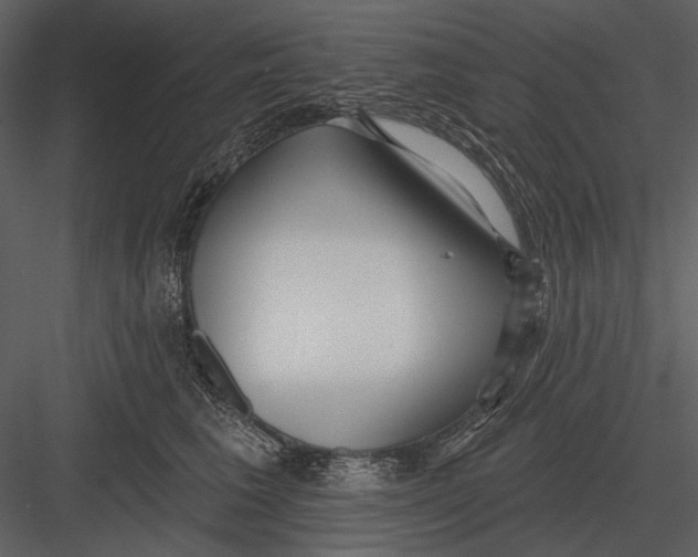 X0000082930613200702222221