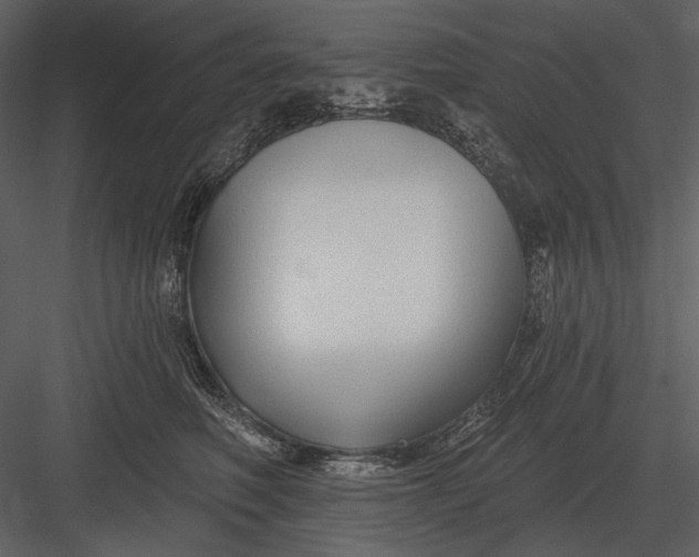 X0000082930614200702222221