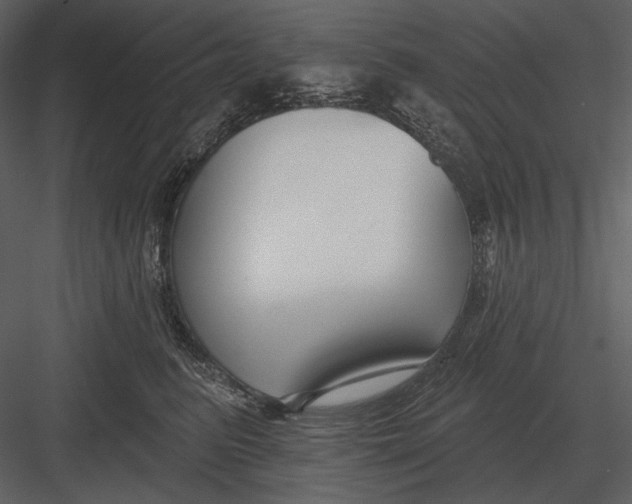 X0000082930615200702222221