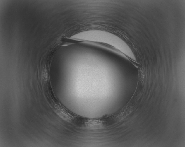 X0000082930617200702222221