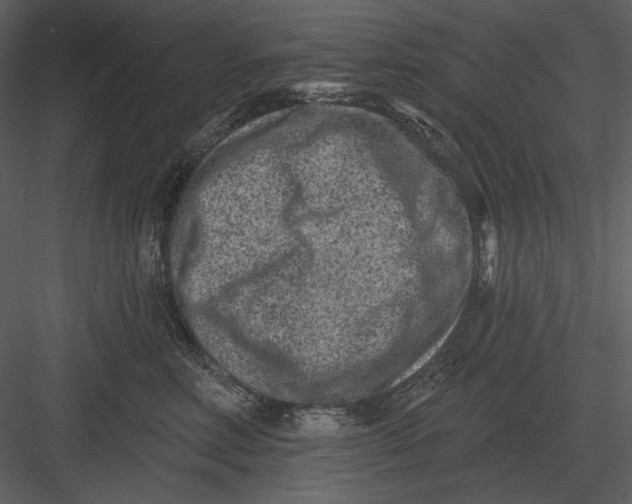 X0000082930618200702222221