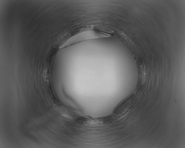 X0000082930619200702222221