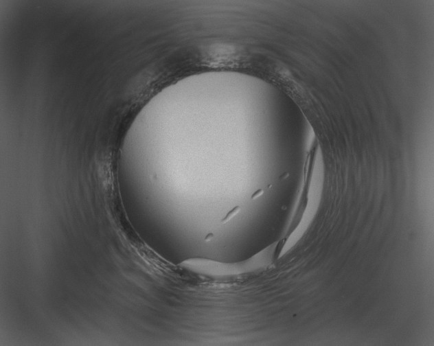 X0000082930620200702222221