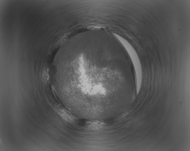 X0000082930621200702222221