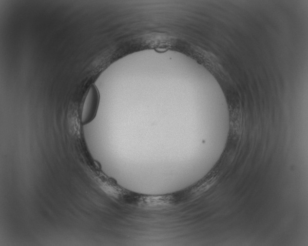 X0000082930622200702222221