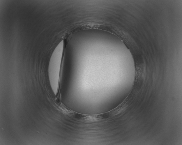 X0000082930623200702222221