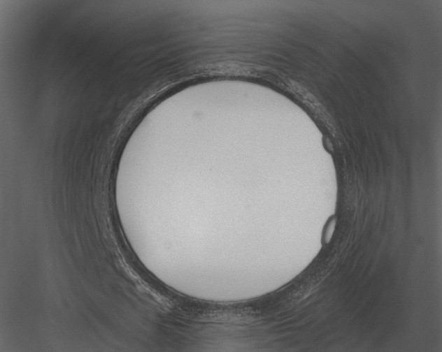 X0000082930625200702222220