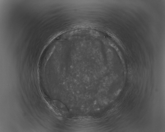 X0000082930626200702222220