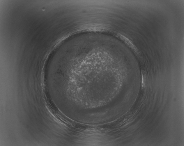 X0000082930627200702222220