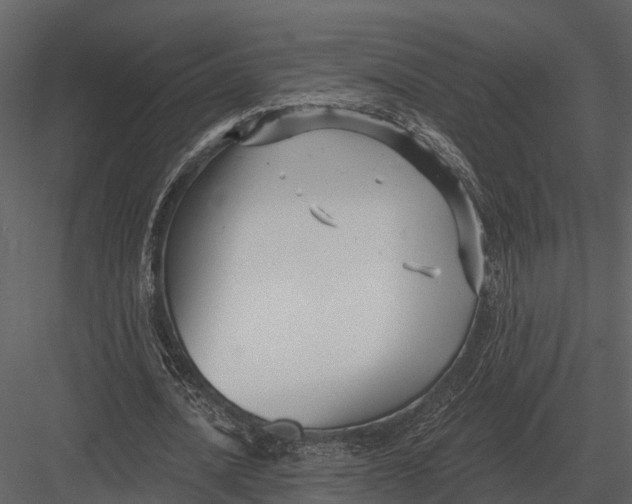 X0000082930628200702222220