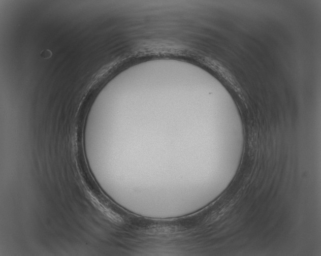 X0000082930629200702222220